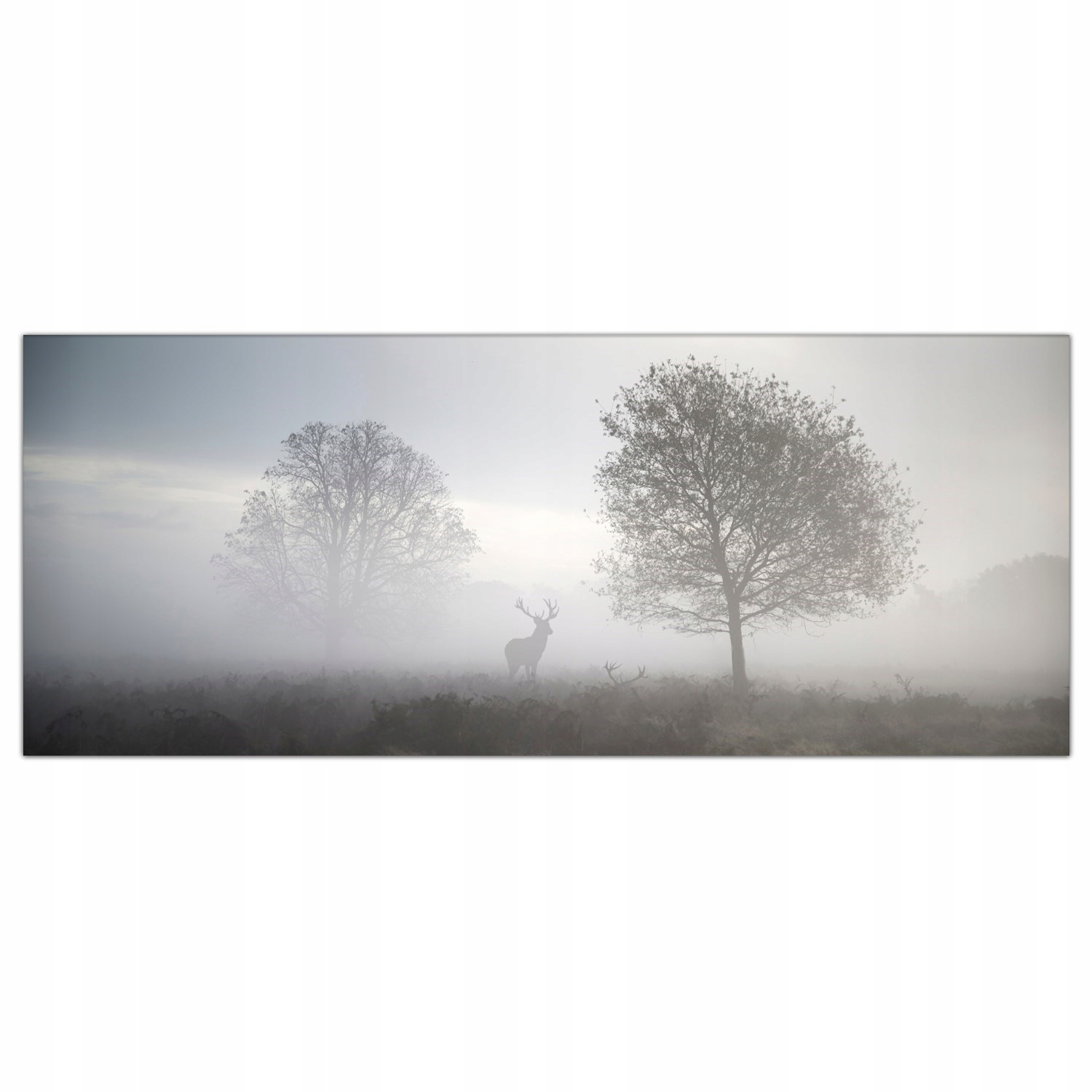 Jelen Mlha Krajina 125x50 Tvrzené sklo panel