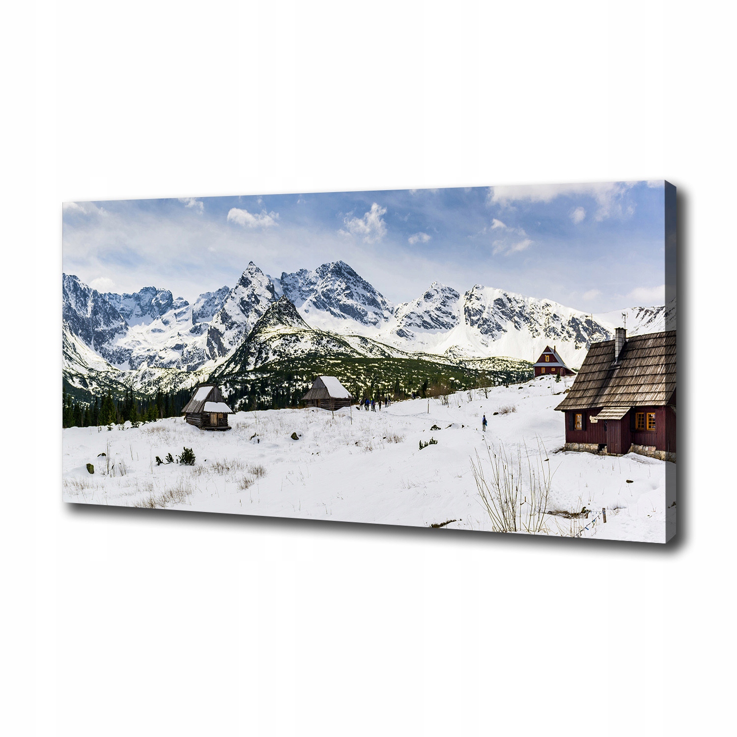 

Foto obraz canvas na ścianę Hale Tatry 100x50 cm