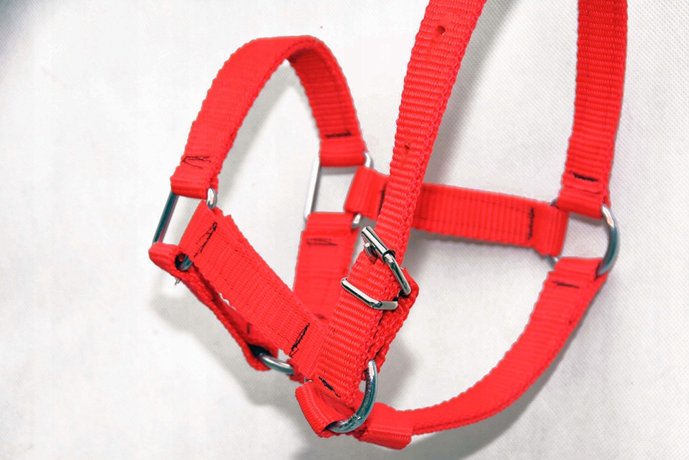 KANTAR NA MINI KUCA Z TAŚMY PARCIANEJ-MOCNY Kod producenta 9843177