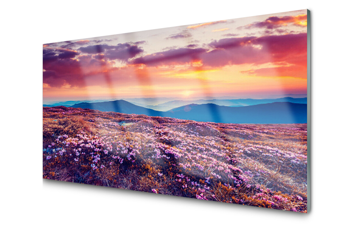 

Panel szklany dekoracyjny Łąka Góra Kwiaty 100x50