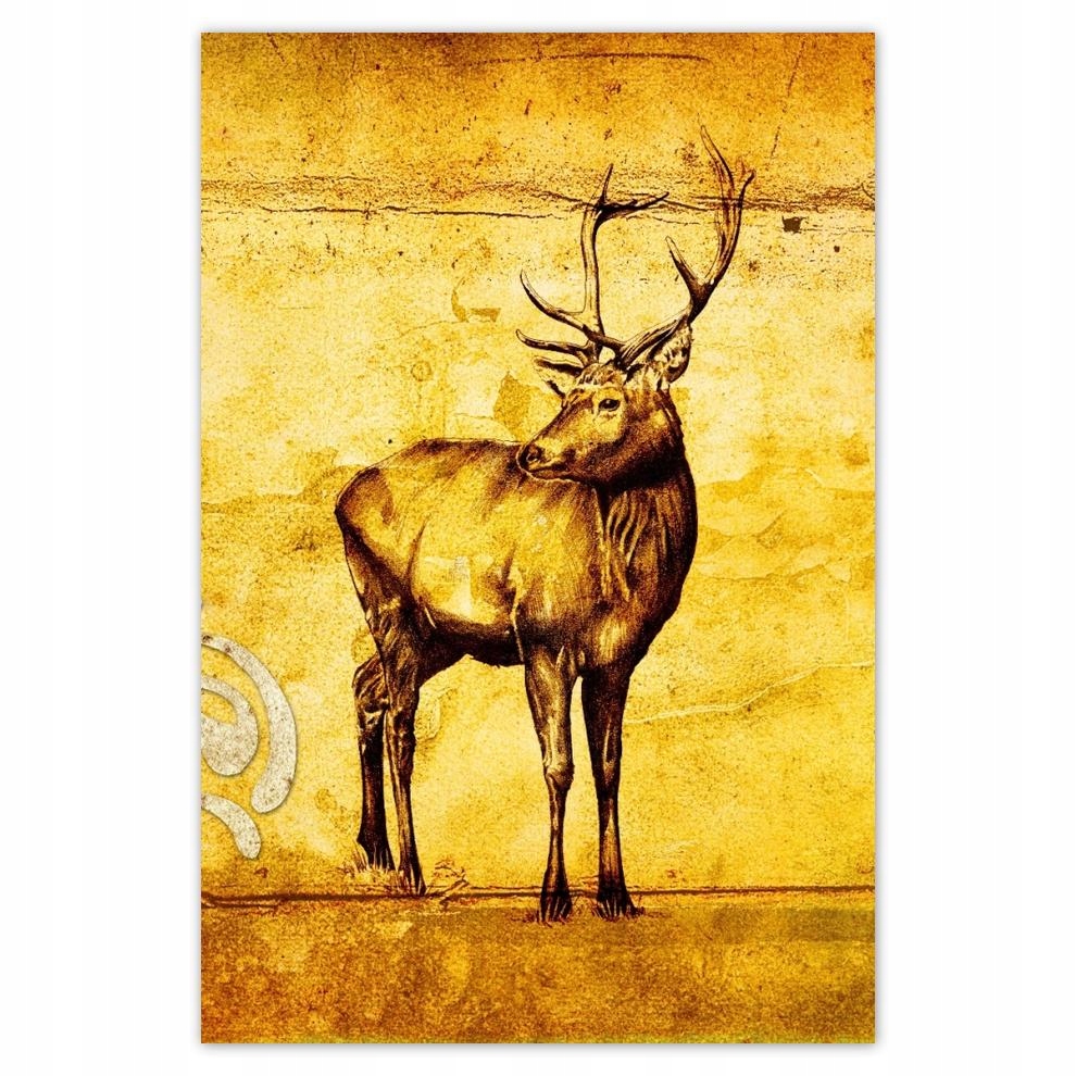 

Plakaty 40x60 Jelonek