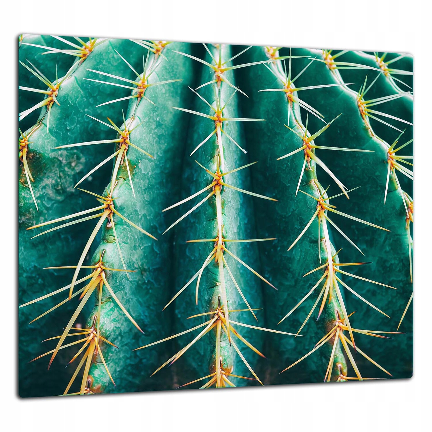 Skleněná Ochranná Deska Panel Lepidlo 65x60 Kaktus Lacobel 7v1