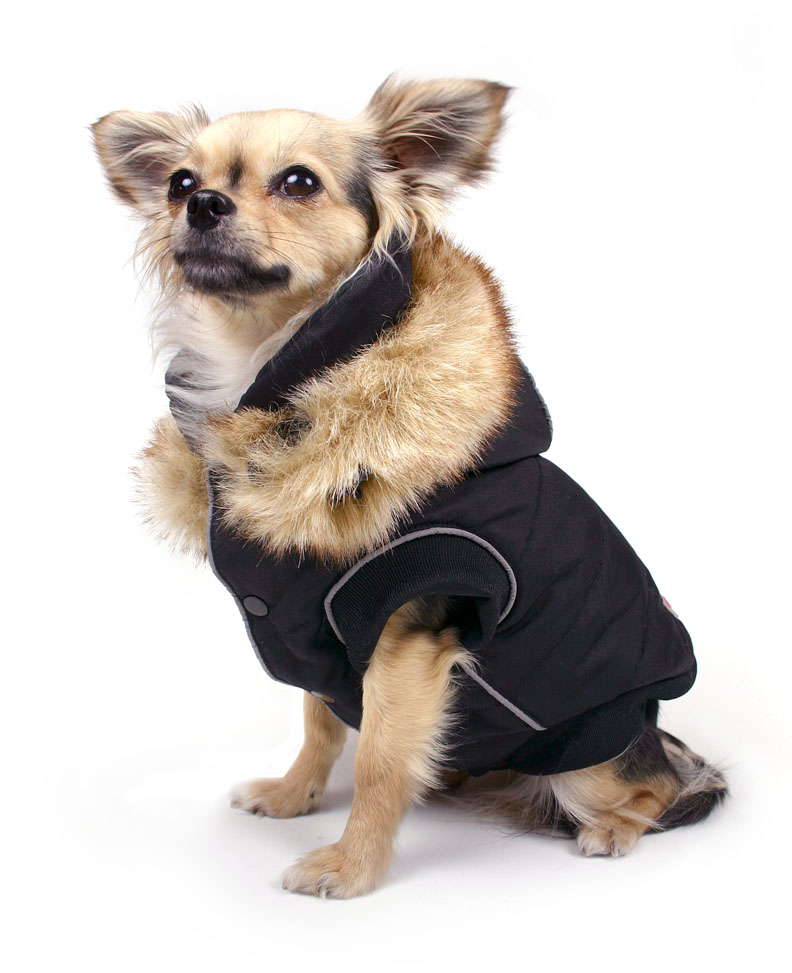 Levně Zimní vesta pro psa Eskimo 3XL Španěl, Šetlandský ovčák, Kolie, Bretaňský ohař