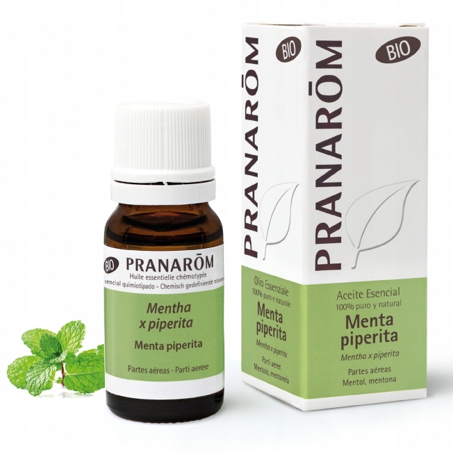 

Bio Olejek Eteryczny Miętowy Mięta pieprzowa 10ml