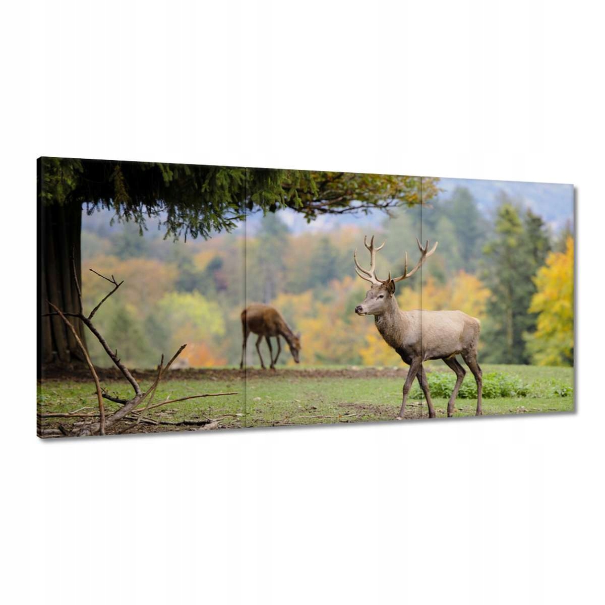 Obrazy 180x90 Jeleň s milovanou jeleňom