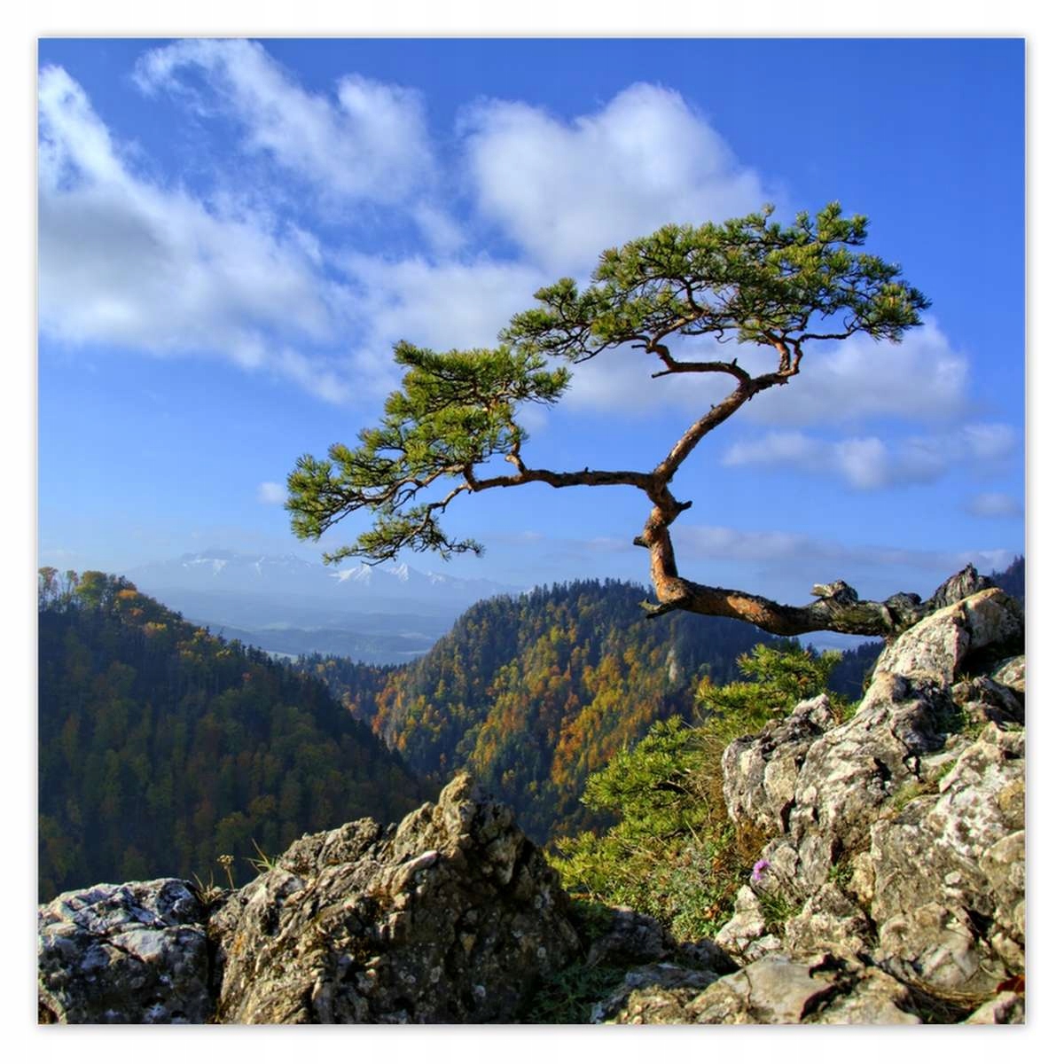 Fototapety 312x312 Krajiny Výhľady Krajiny