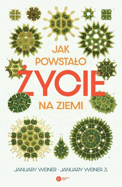 

Jak powstało życie na Ziemi