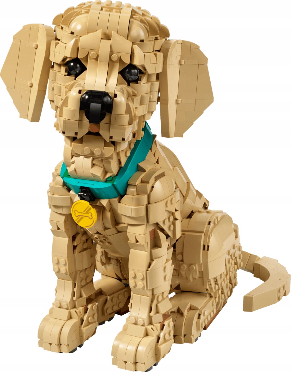 Lego Icons 11384 Golden Retriever Puppy Szczeniak golden retriever