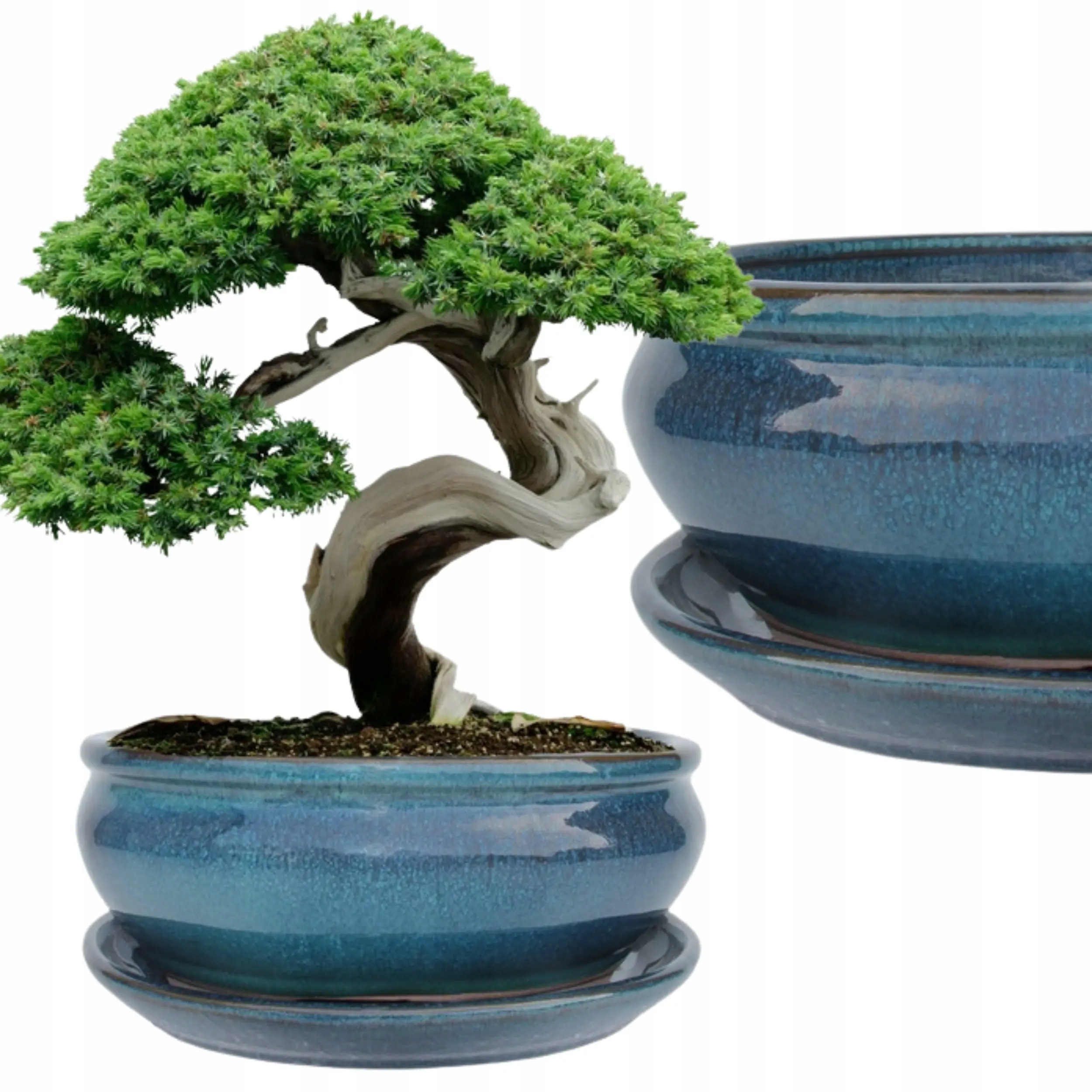 Donica Do Bonsai Z Podstawką Ceramiczna Szkliwiona Turkusowa 12x27x36cm