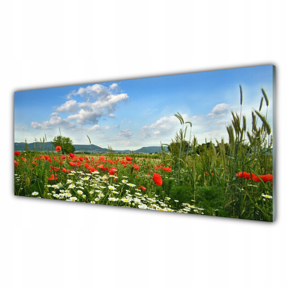 

Obraz akrylowy 125x50 Łąka Kwiaty Natura Roślina