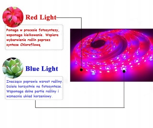 ZESTAW LED GROW DO REGAŁU IP65 ROŚLINY 4X120 CM Typ oświetlenia GROW