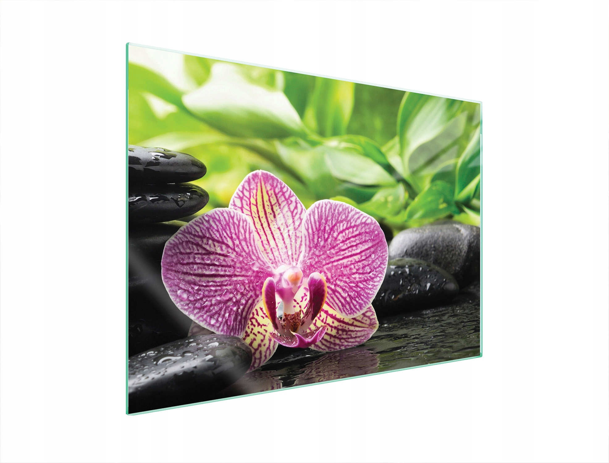 Skleněná Ochranná Deska Na Sporák 70x52 Orchidej Tvrzené Sklo