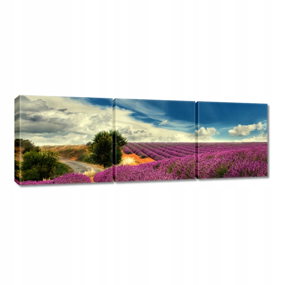 

Obrazy 120x40 Lawendowy pejzaż