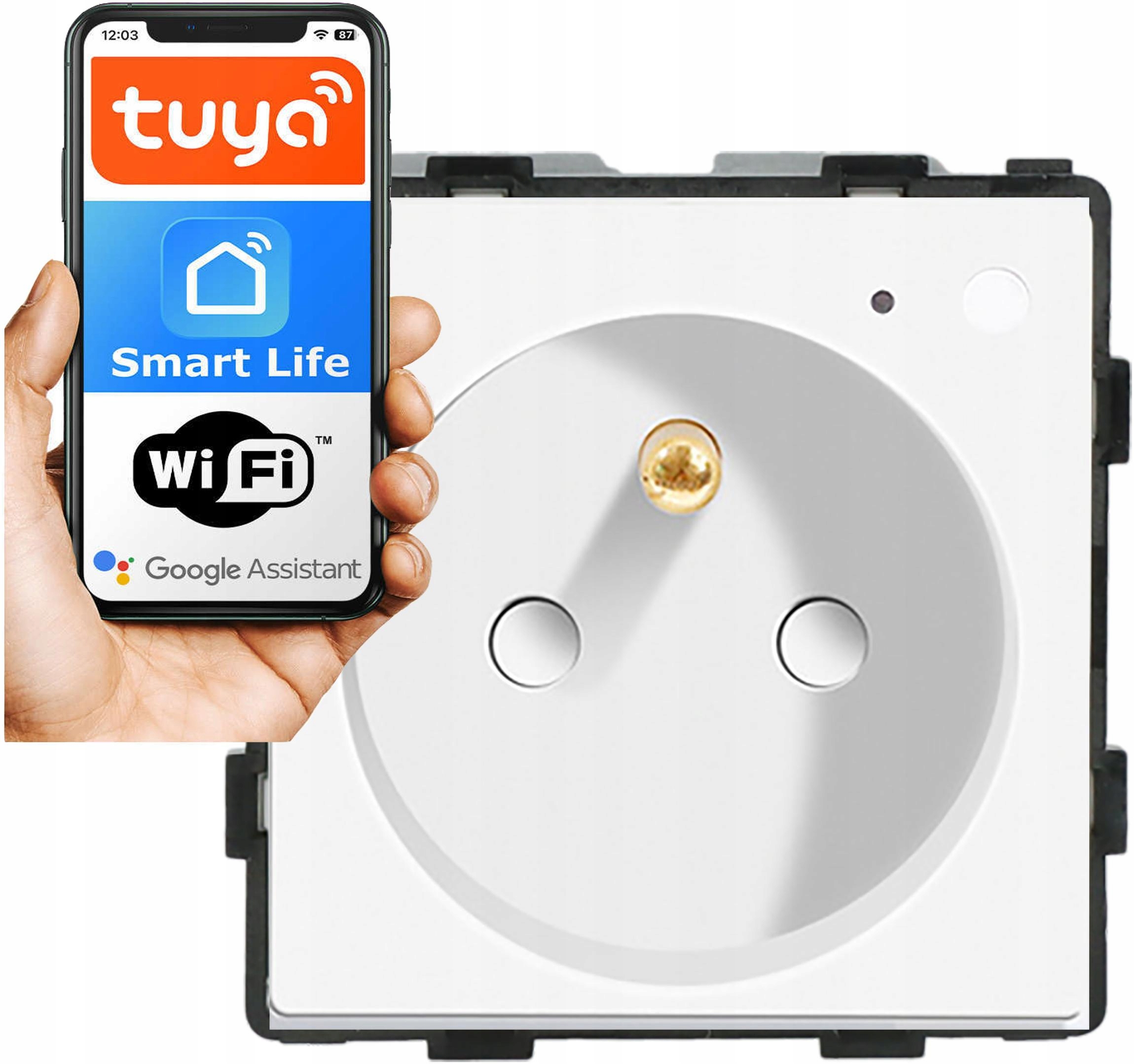 Modul Vložka Inteligentní Zásuvka S Kolíkem 230V Bílá WiFi 1F