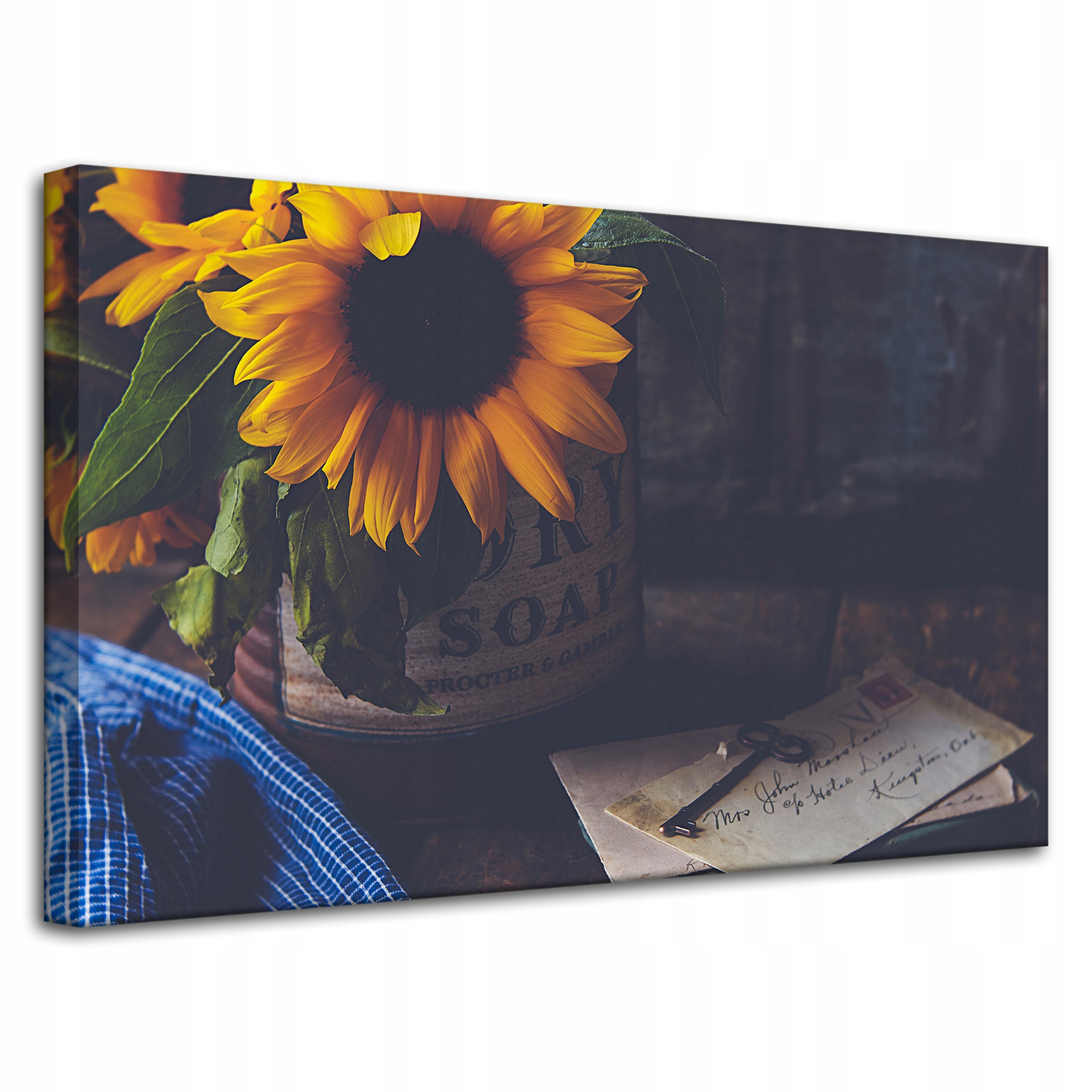 Obraz Canvas Botanika Slunečnice Vintage 80x50 cm
