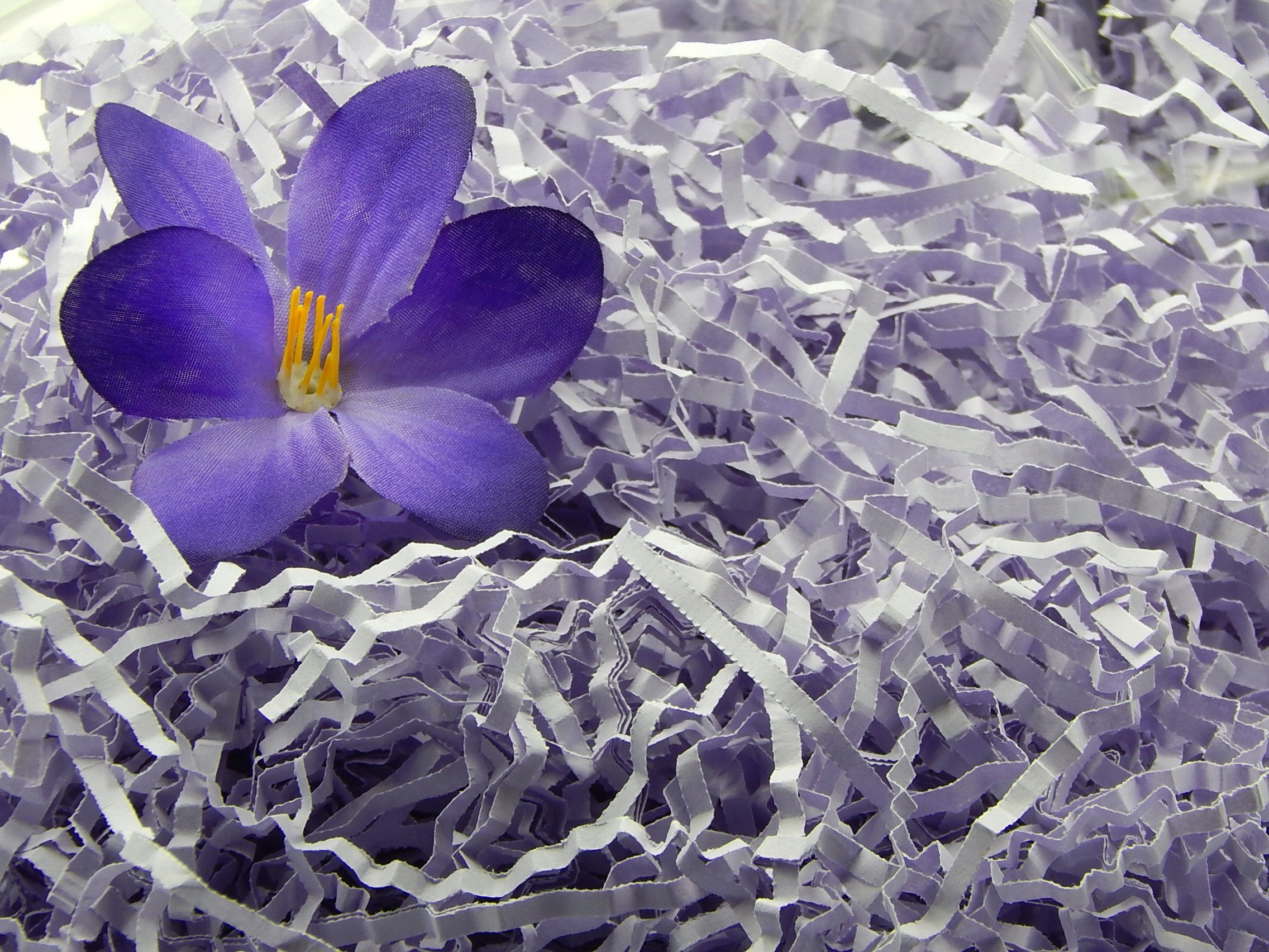 Wypełniacz Naturalny Dekoracyjny Jasny Fiolet