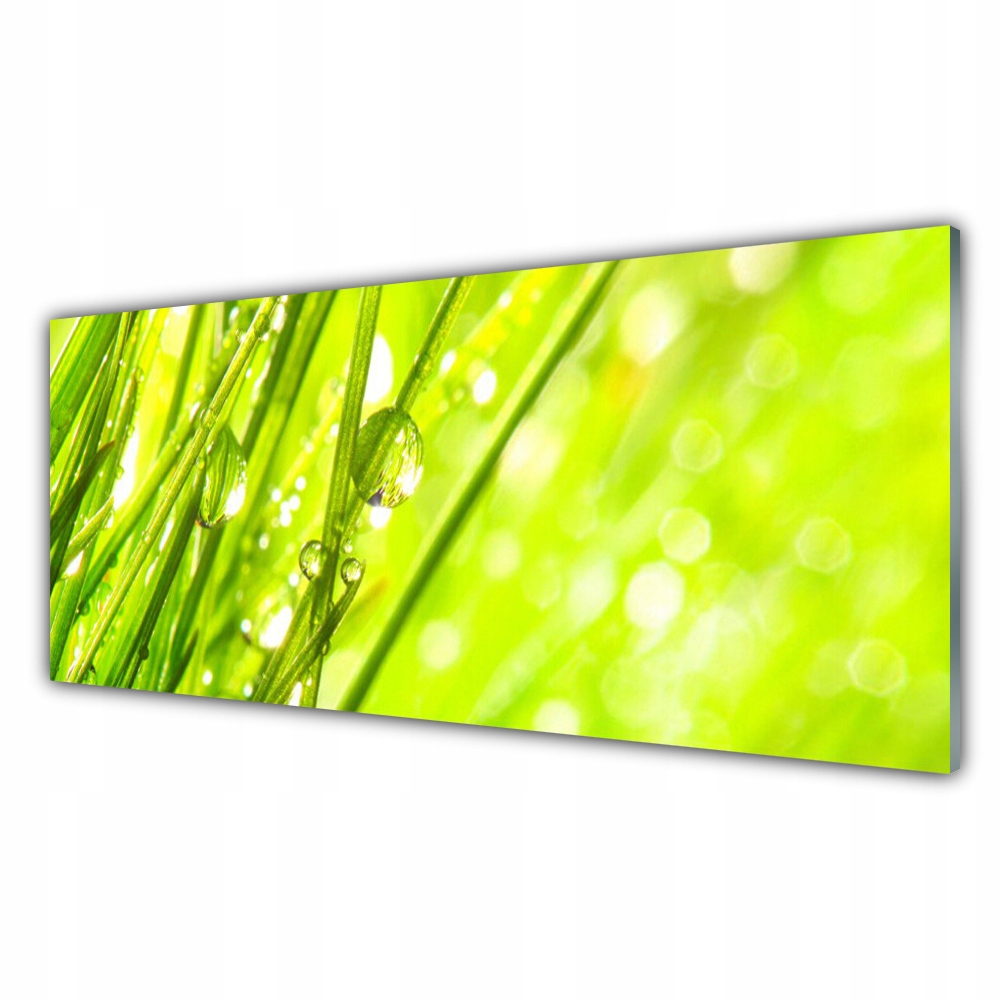 

Obraz akryl z nadrukiem 125x50 Natura Krople Trawa
