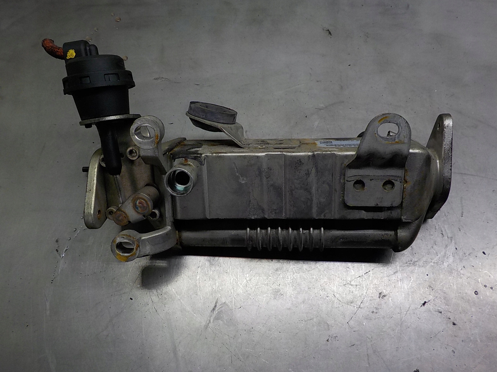 MINI MINI (R56) 1.6 Abgaskuehler AGR 782331903