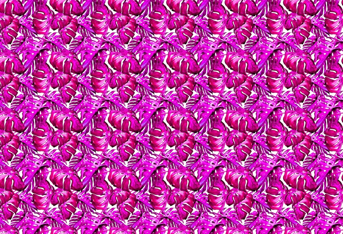 

Tapeta Flizelinowa Tropikalne liście - 104x70