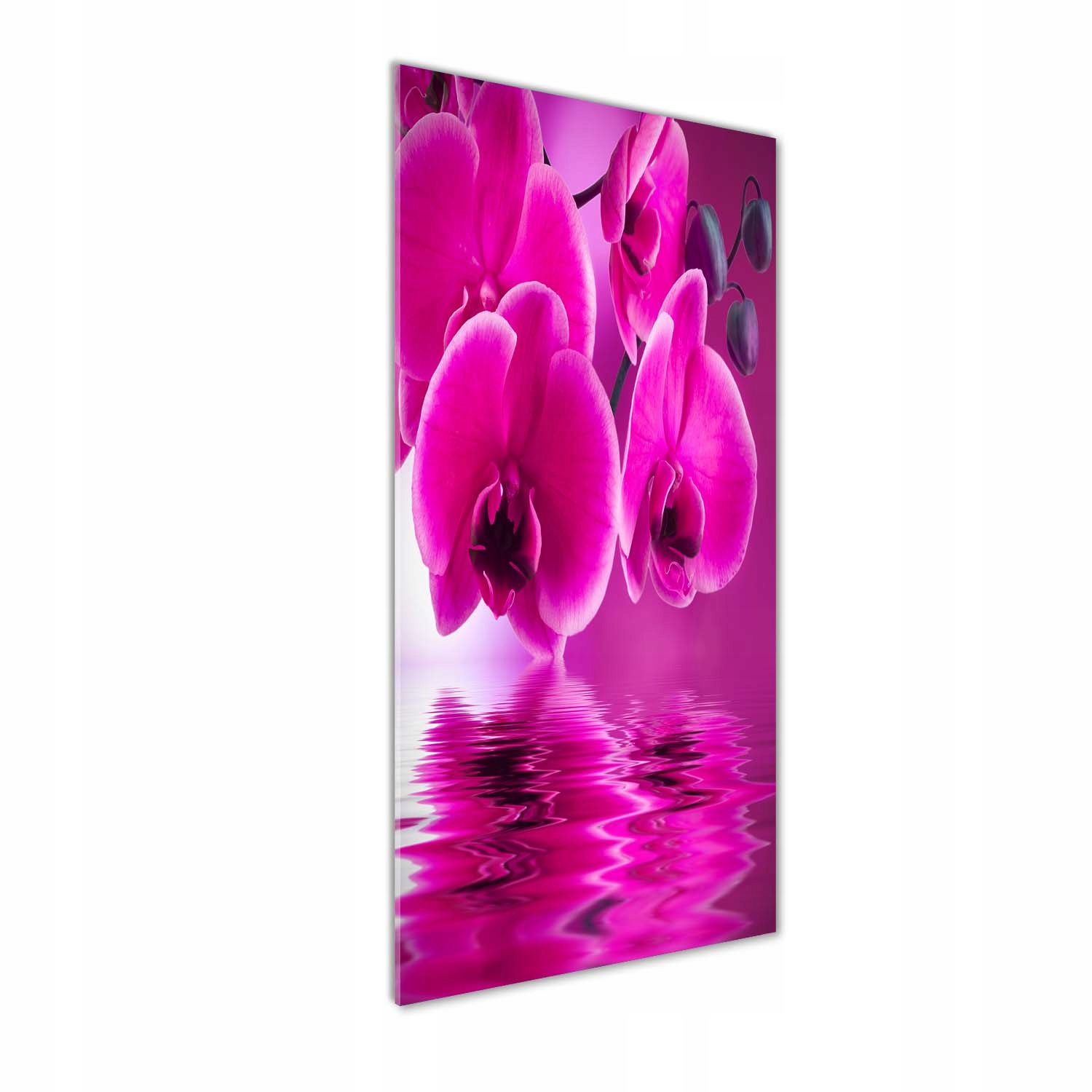 

Foto obraz na szkle pionowy Różowa orchidea 50x125