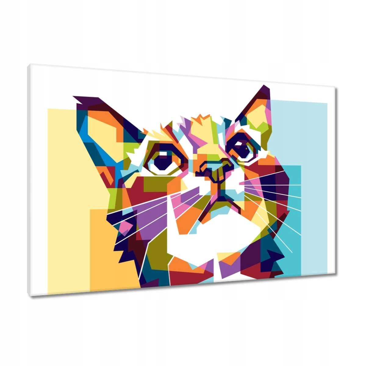 Obrazy 90x60 Abstraktní kočka