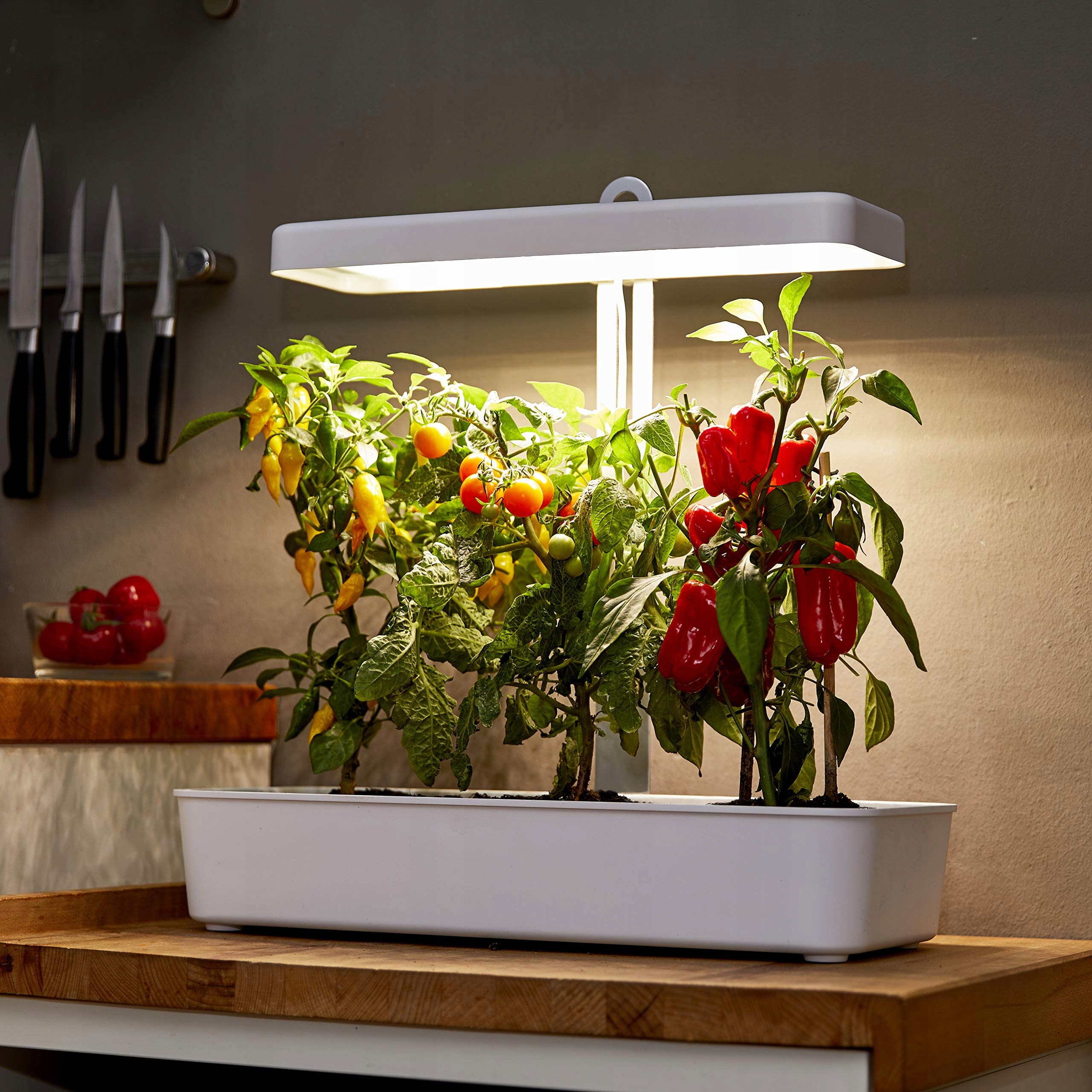 Lampa Do Roślin LED Hydroponiczny Ogród Ziołowy Timer 22W 1350lm NORTHPOINT — miniatura 5