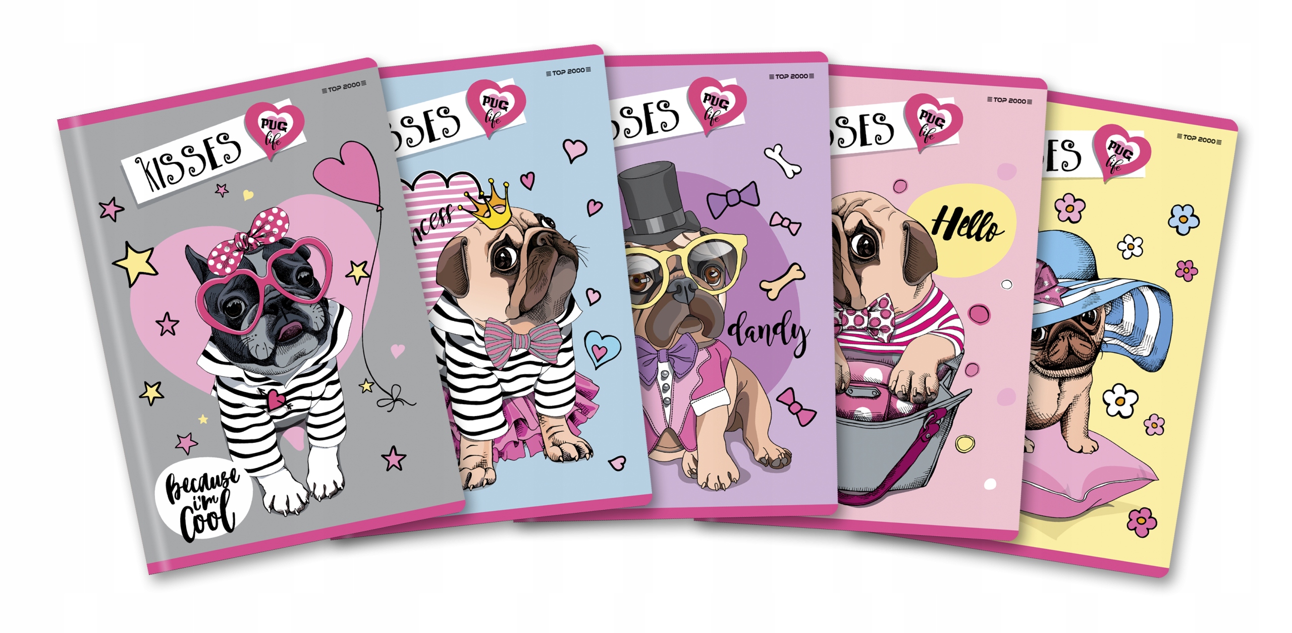 

Zeszyt A5 16K Trzylinia Kolor Pug Life MIX 5 Szt