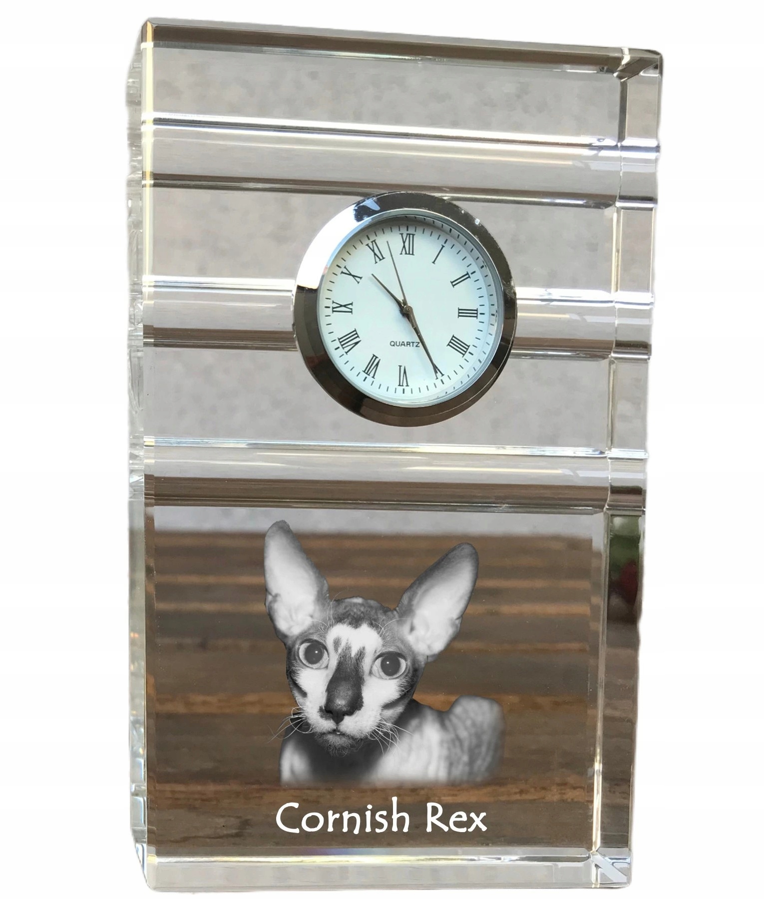 Mačka Cornish Rex krištáľové stolové hodinky s vašou fotografiou, suvenír