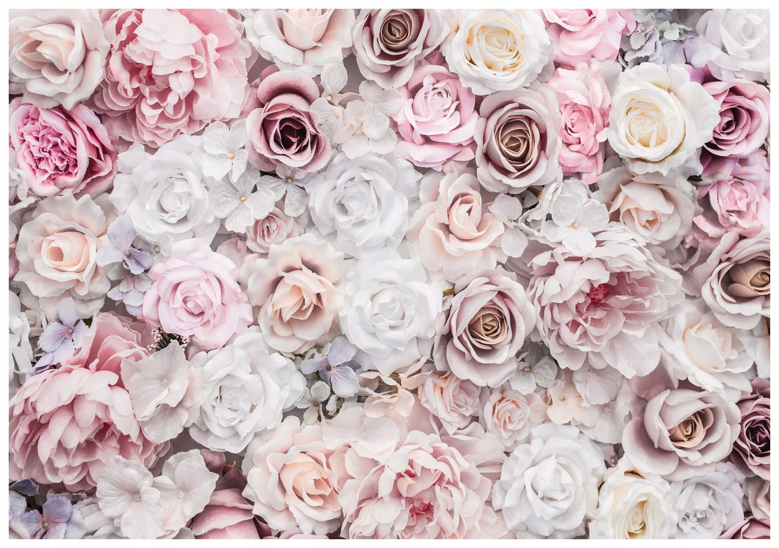 Fototapeta Růže a pivoňky pastelové vinylové 460x300 elegance do domu lepidlo