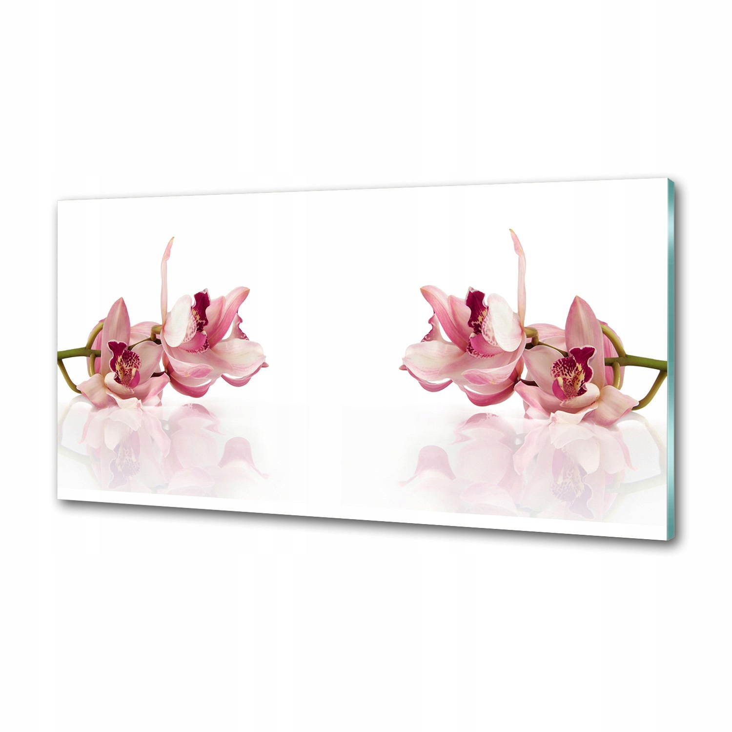 Panel medzi nábytkom v kuchyni Orchidea 100x50 Lepidlo