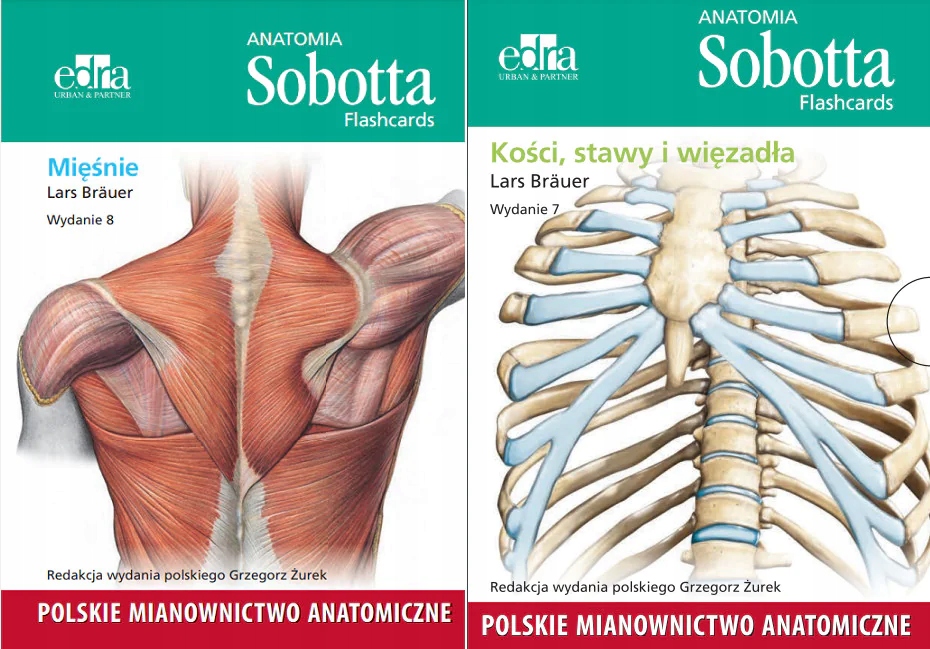 

Flashcards Sobotta 1-2 Polskie Mianownictwo