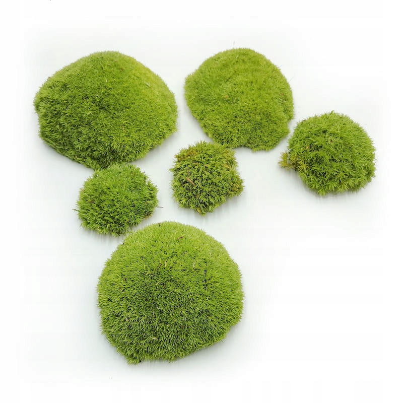 Ball Moss kopečkový mech světle zelená 2kg Fr