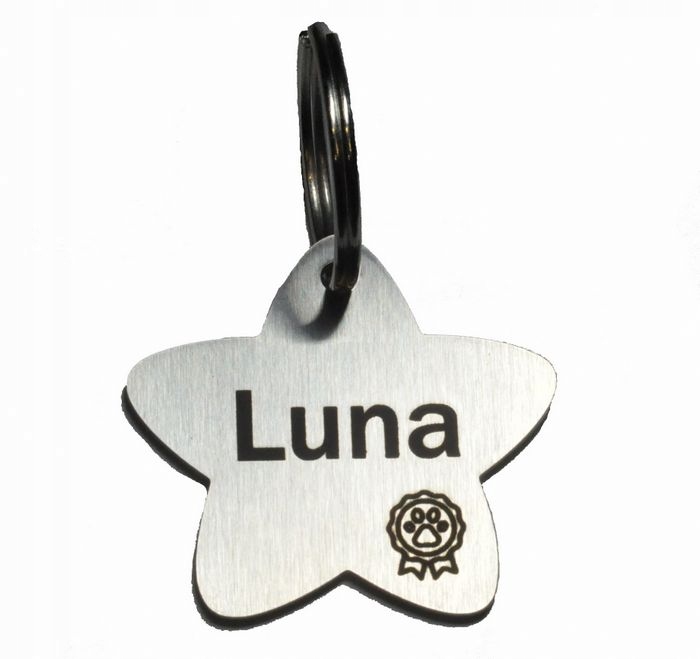 

Identyfikator Adresówka Gwiazdka dla Psa Kota Stal