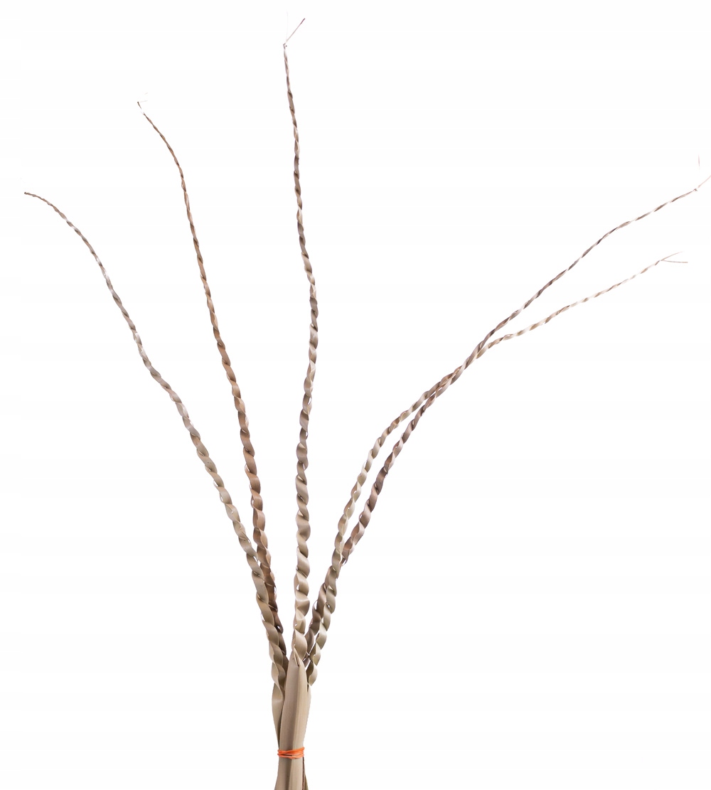 

Palm snake naturalny 5szt warkocz z palmy