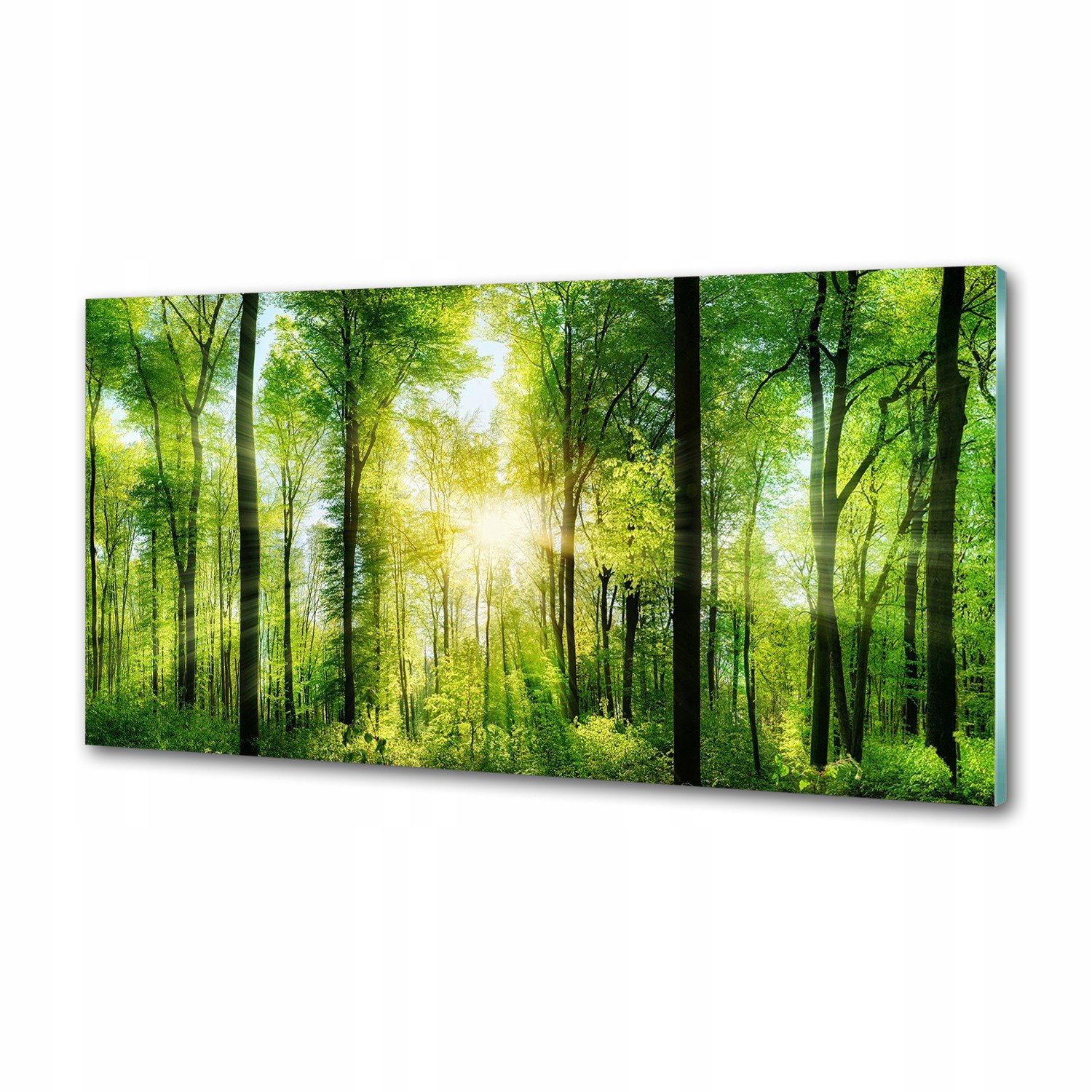 Panel dekor sklo Les na slnku 100x50 cm Lepidlo