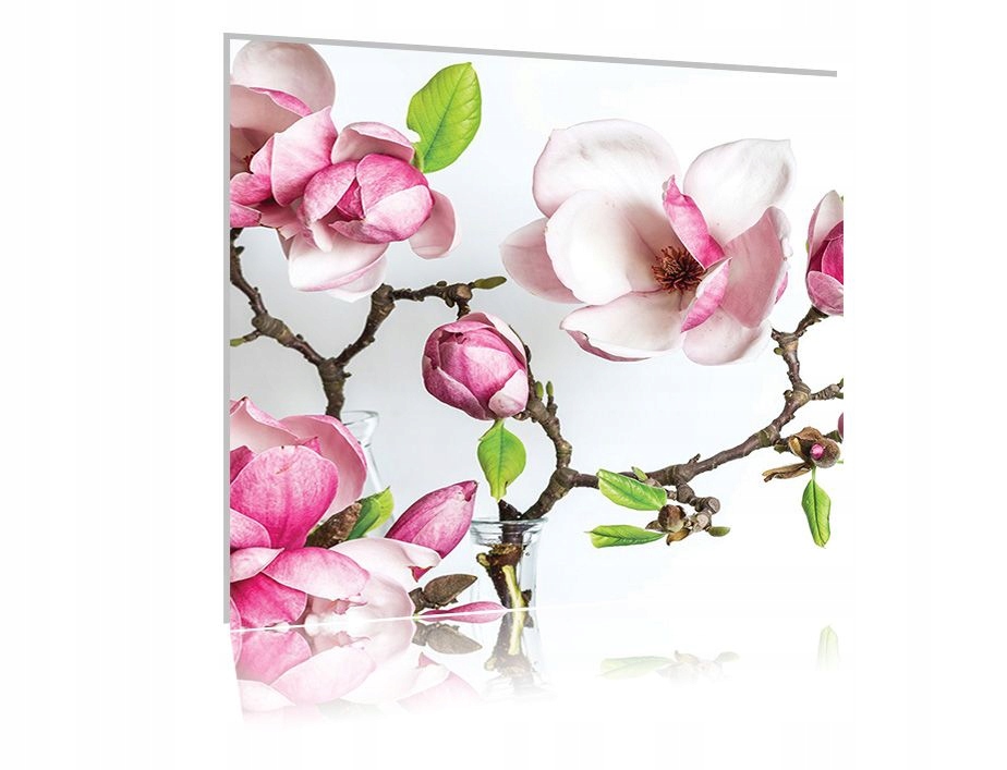 

Obraz szklany na szkle Magnolia 05 30x30