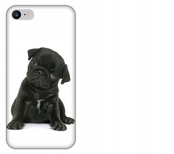 

Etui pokrowiec iPhone 7 Pies mops szczeniak