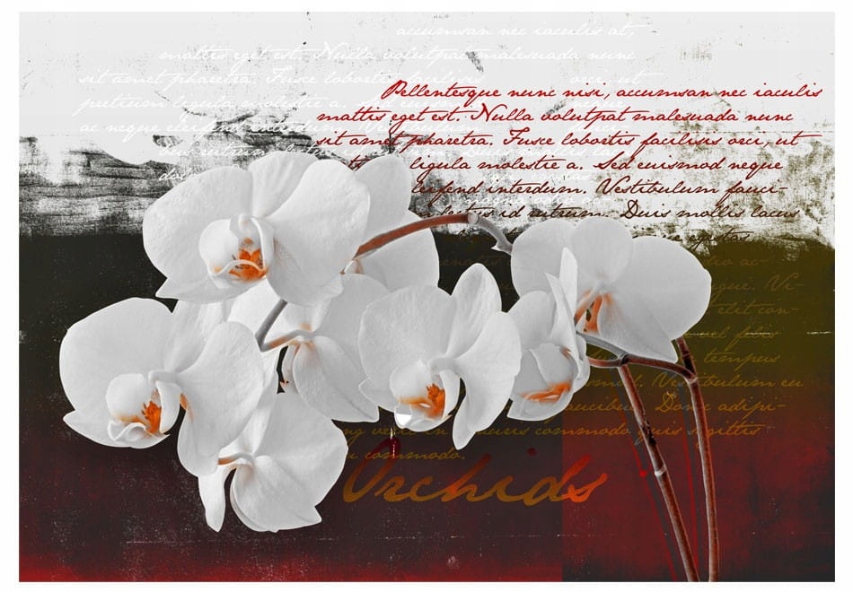 

Fototapeta - Pamiętnik i orchidea - 100X70