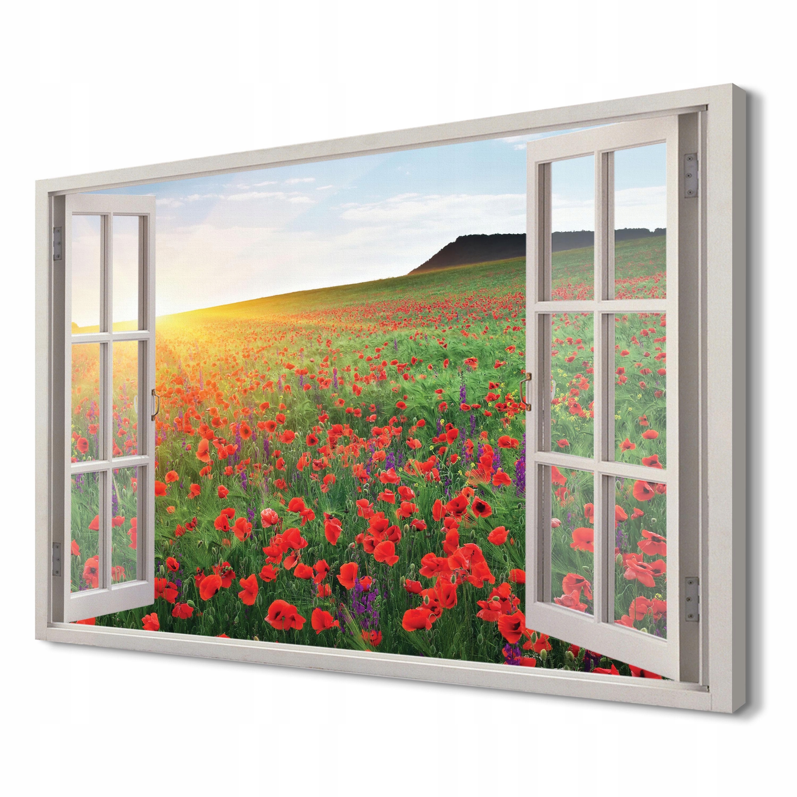 

Pole makowe Wydruk na płótnie 3d 120x80 do pokoju