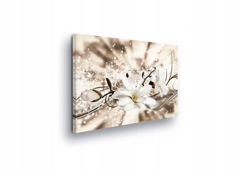 Obraz 80x60 Jemnost čistota lesk květiny magnolie romantismus
