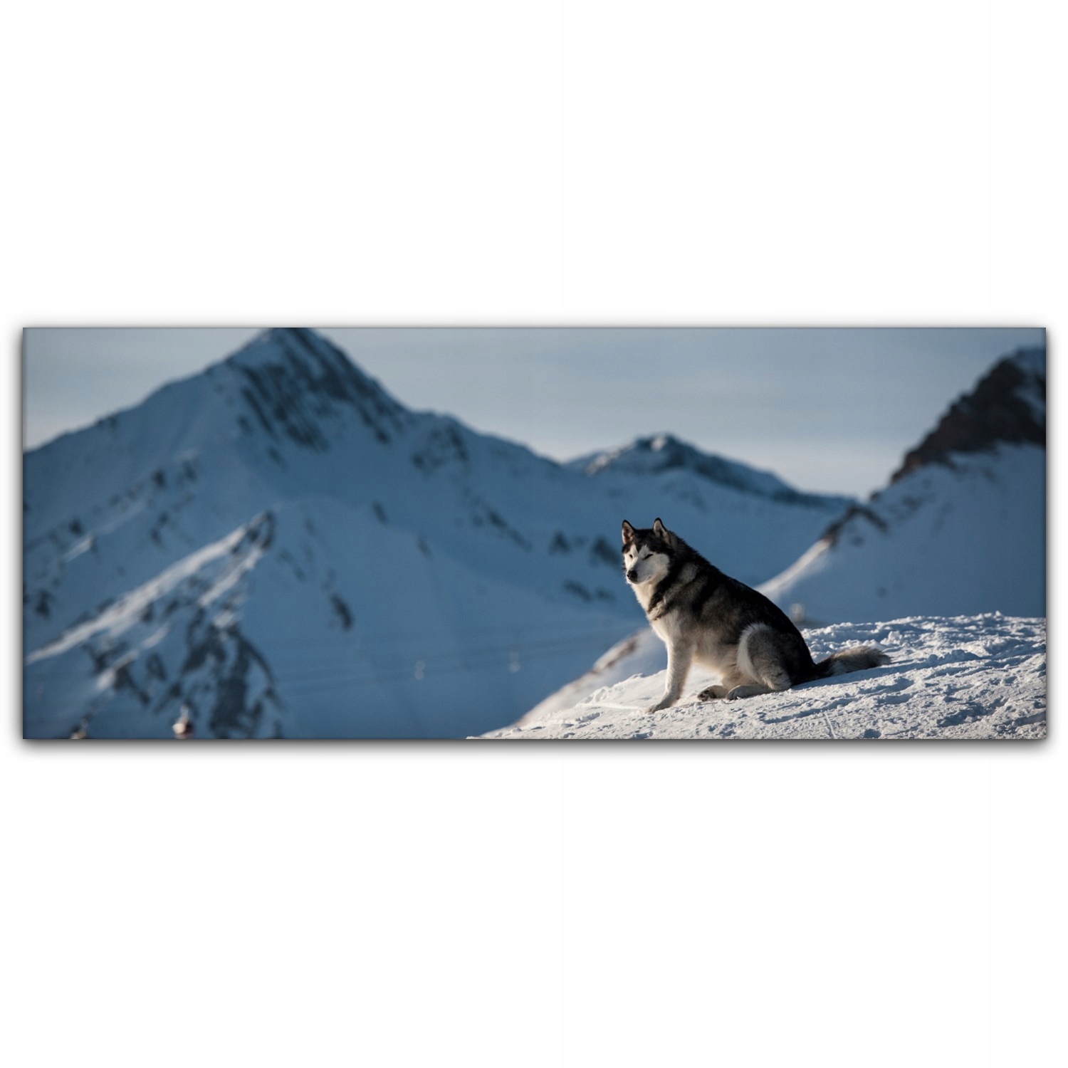 

Canvas płótno do sypialni 125x50 Husky Góry Pies