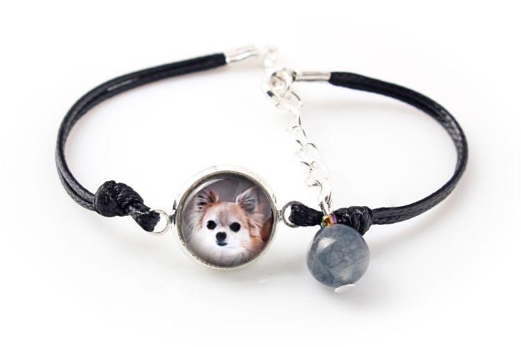 

Chihuahua długowłosa Bransoletka z Twoim zdjęciem