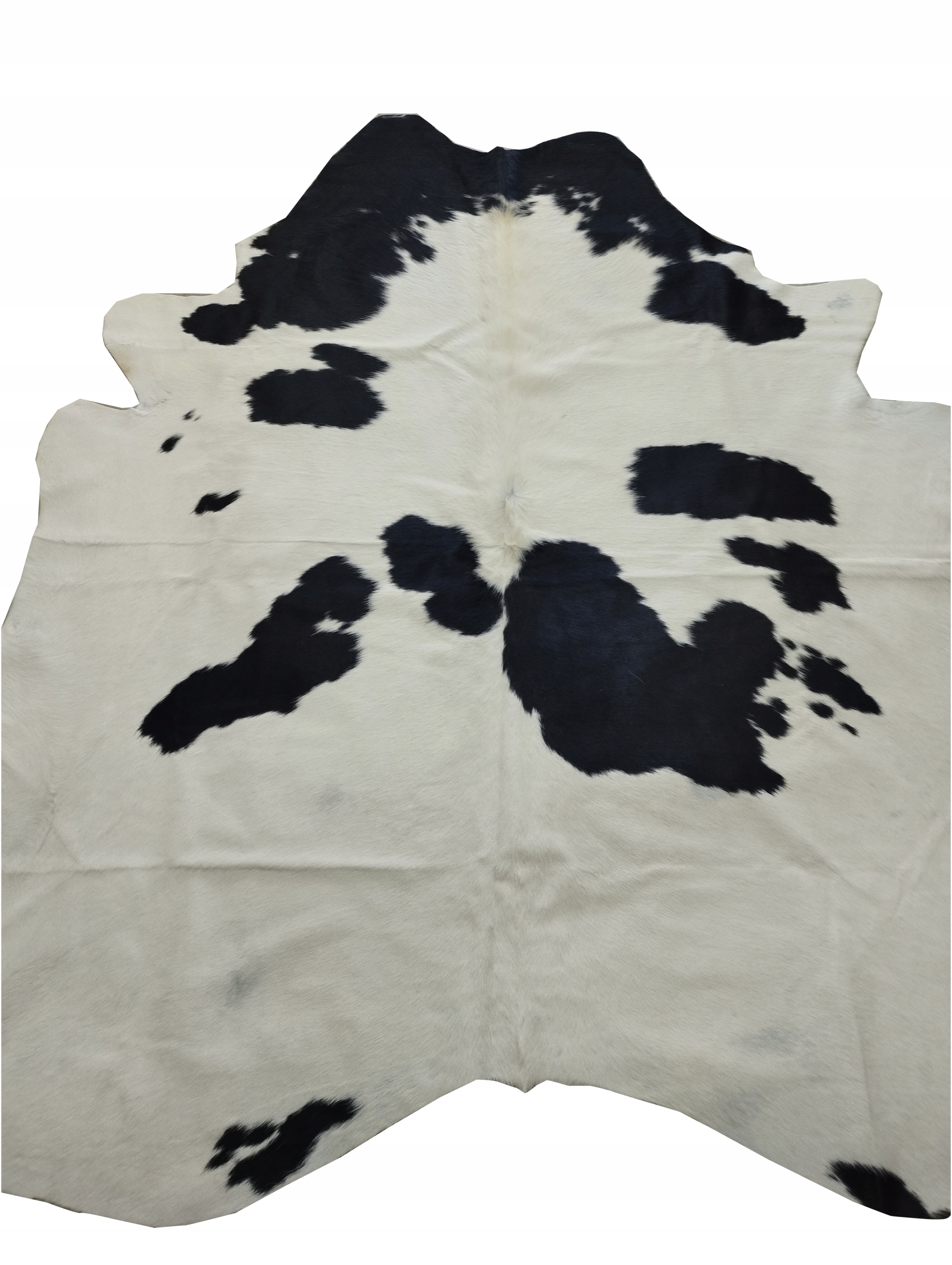 Čiernobiela hovädzia koža Poľsko krava od 2.25 do 3.25 m2 (180 x 160 cm)