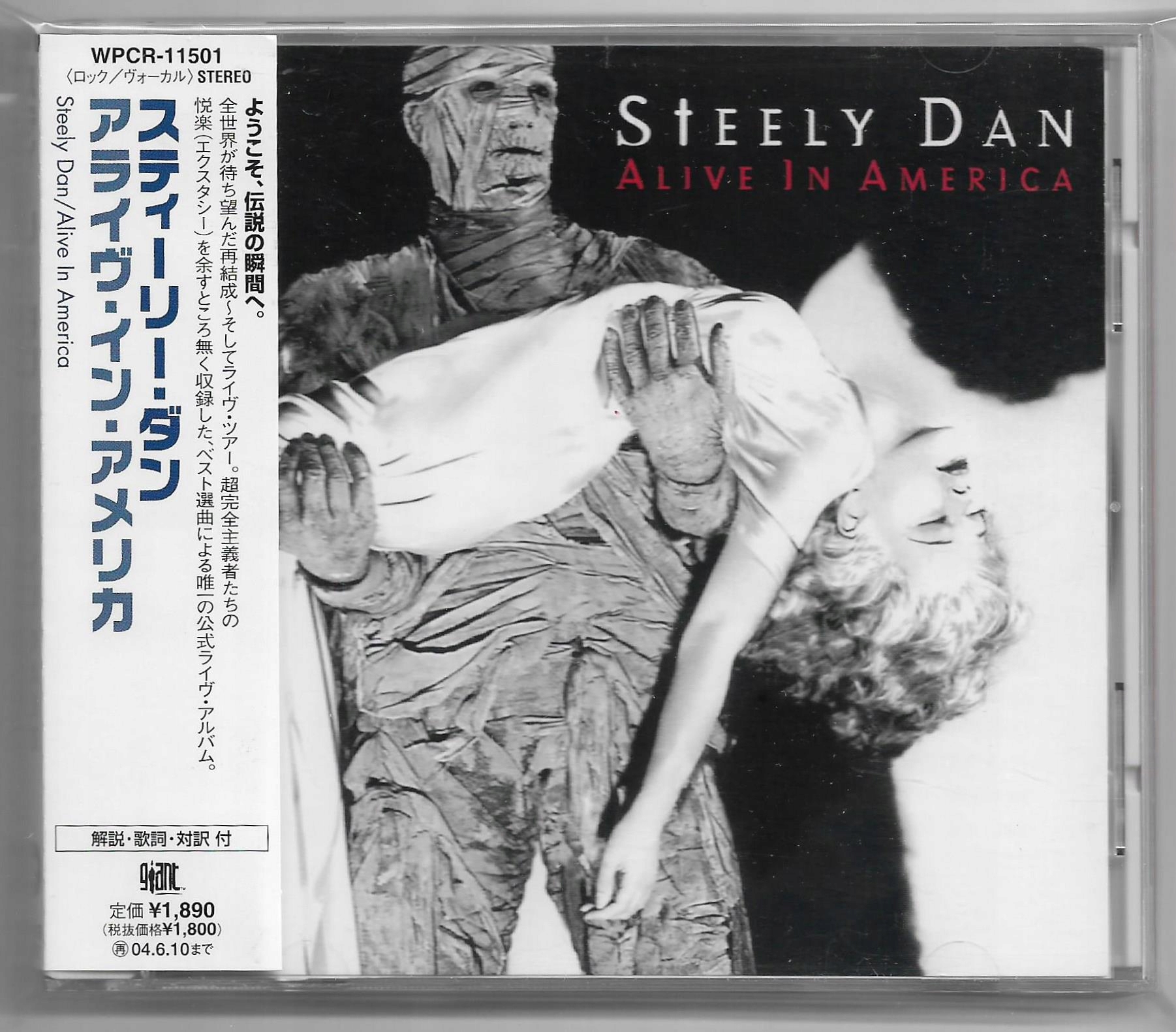 Steely Dan Japan - Niska cena na Allegro