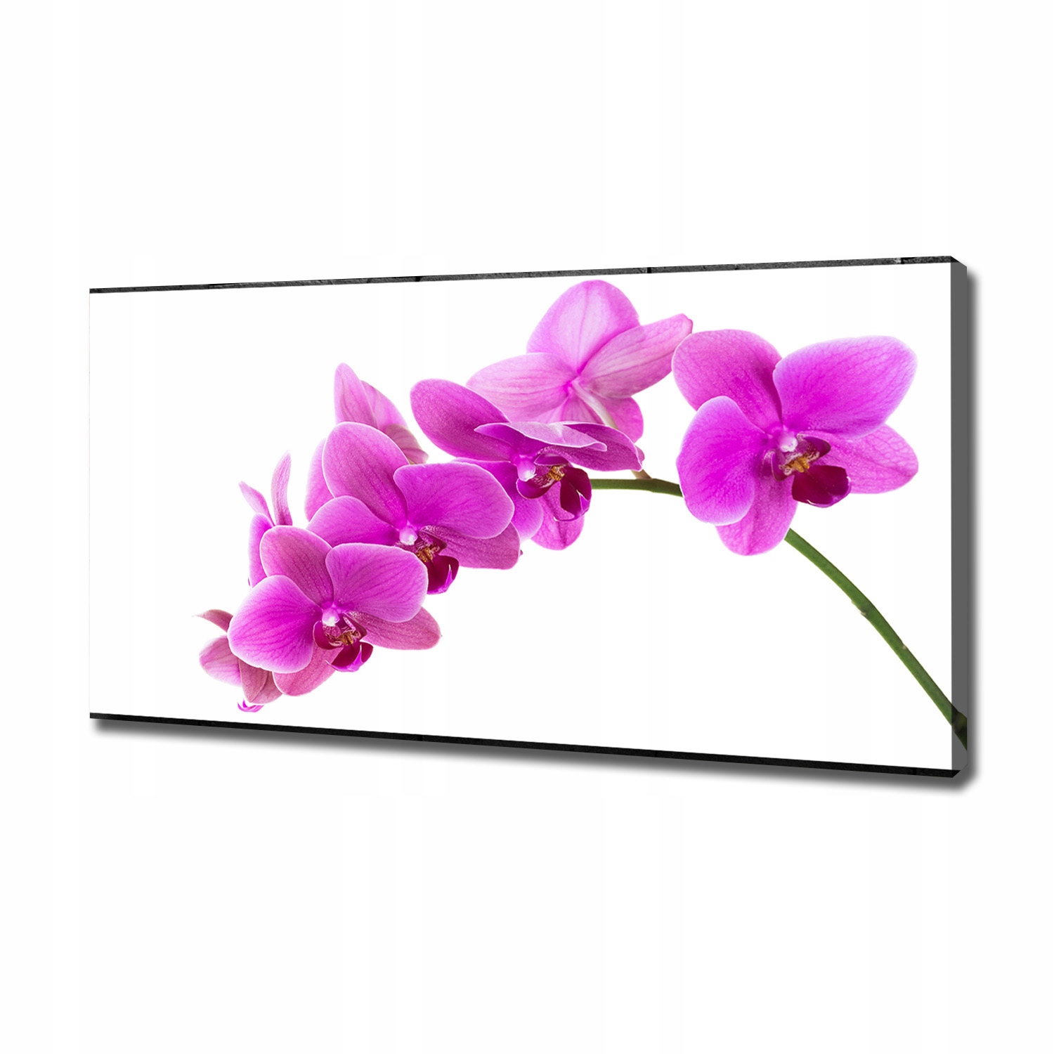 

Foto obraz na płótnie Różowa orchidea 120x60 cm