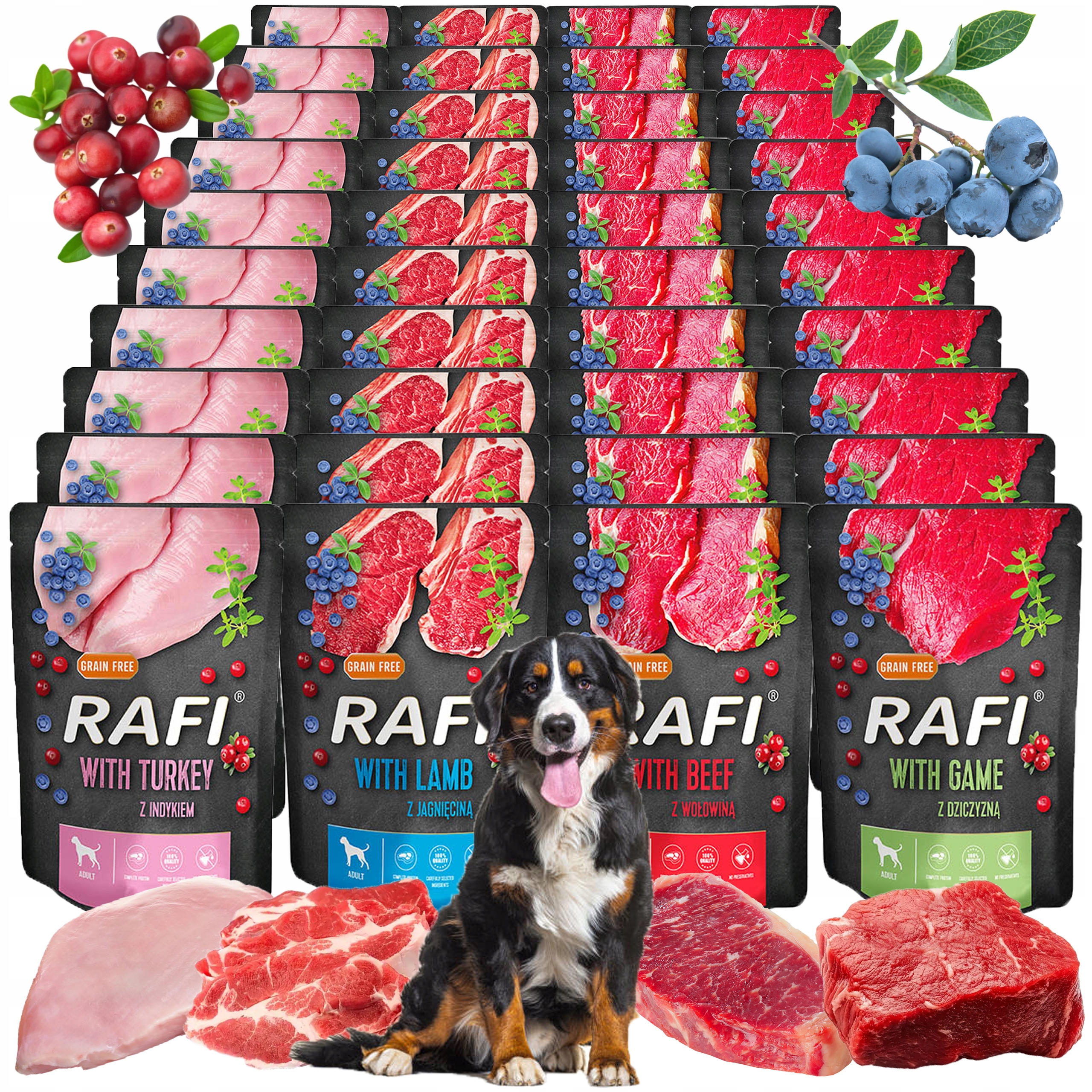 Vlhké Krmivo pro psa Rafi Dolina Noteci Sáček 40 x 300 g Mix Chutí