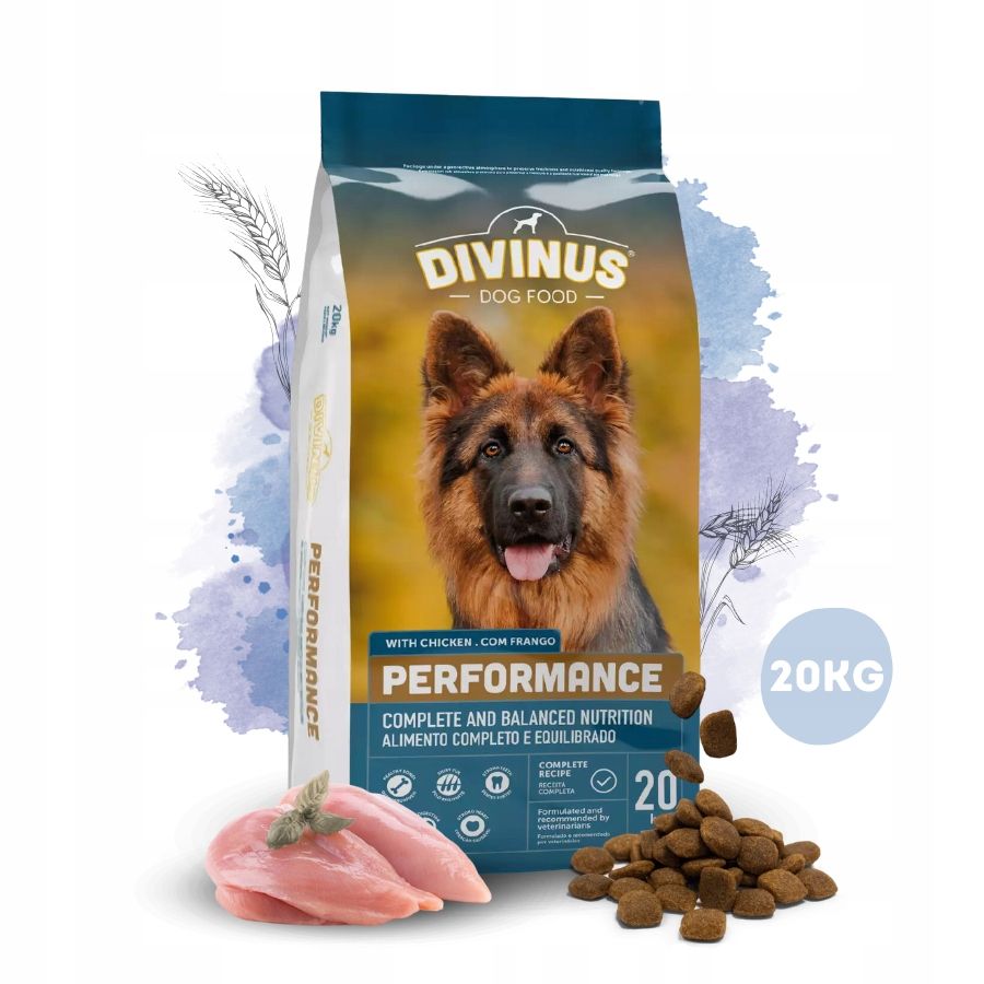Divinus Performance karma sucha dla psa owczarek labrador witaminy 20kg