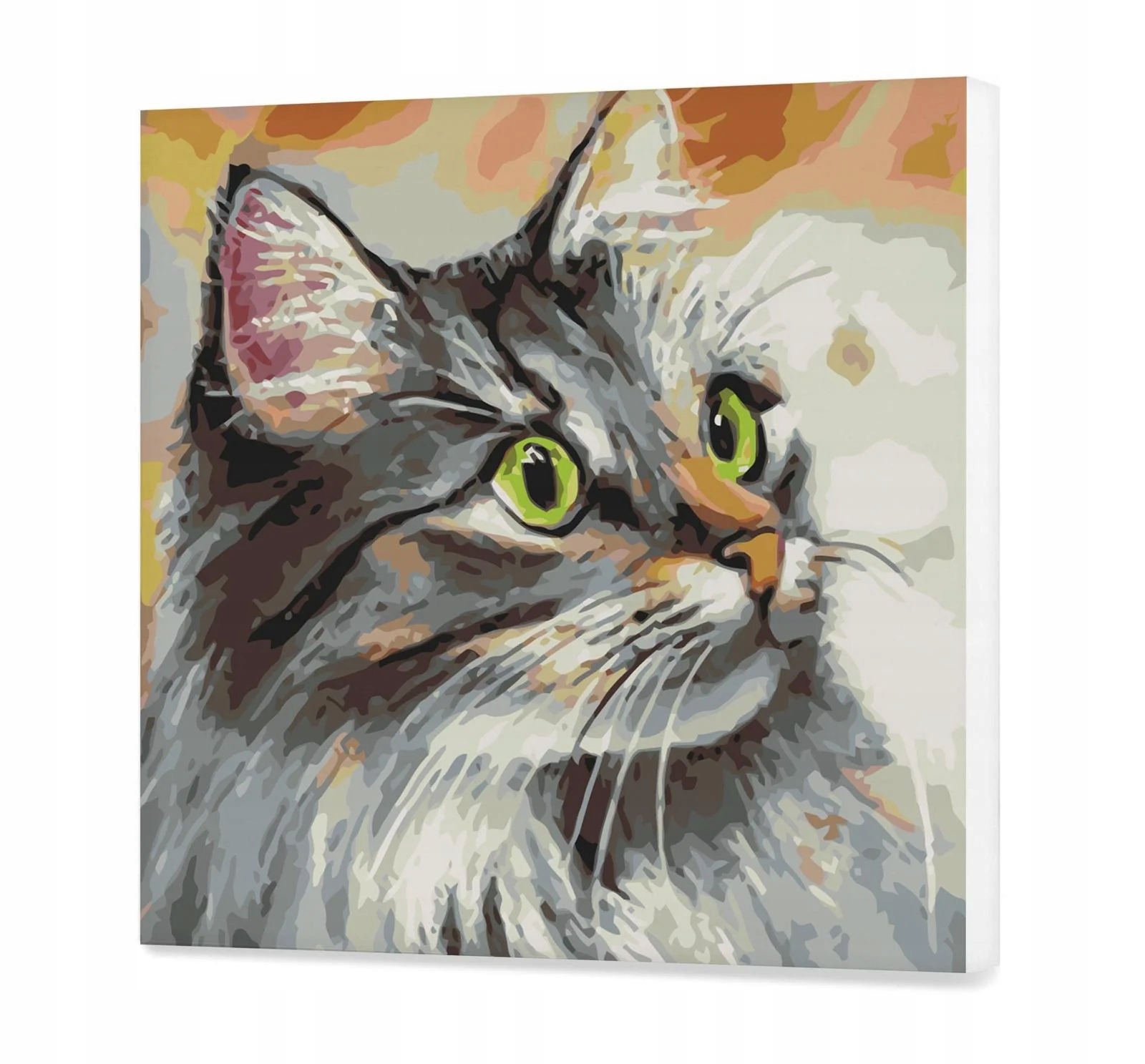 Zajímavá kočička Malování podle čísel 60x60 cm