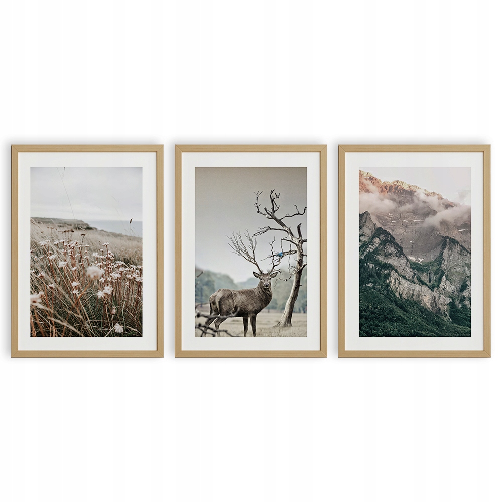 

Plakat Obraz Tryptyk A3 Gór Jeleń Trawa Beż Natura