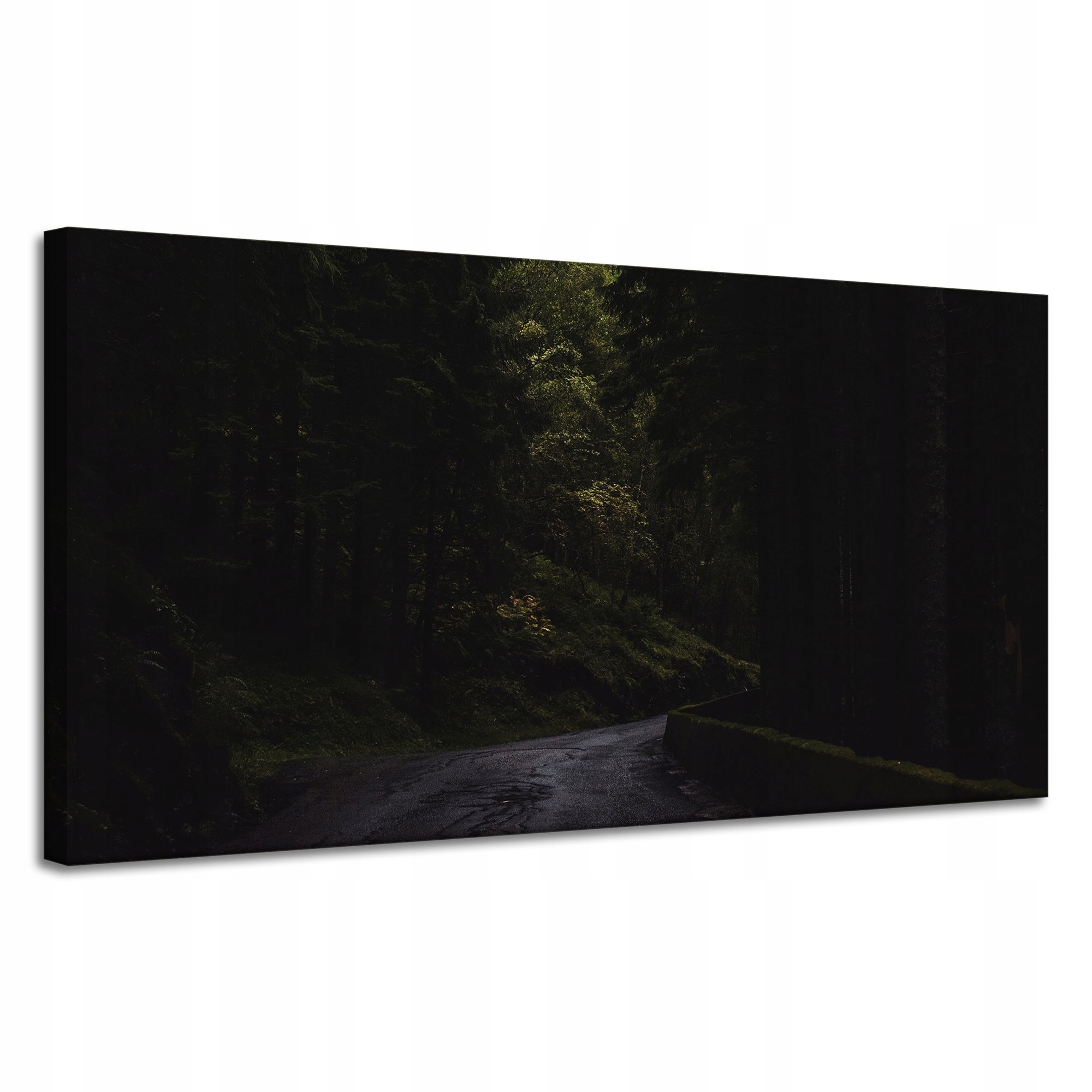 Obraz na plátně Příroda Cesta Temnota Strach 120x60